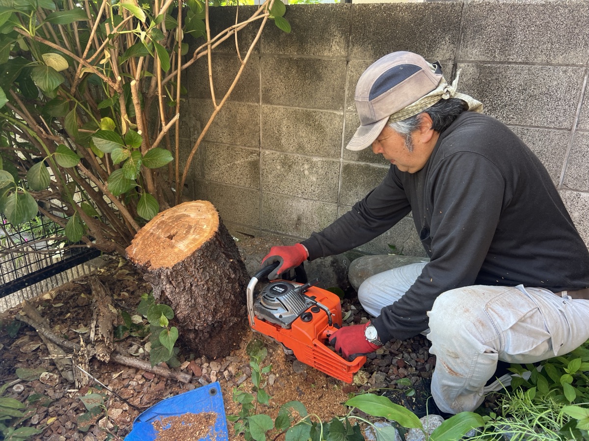 作業中の様子